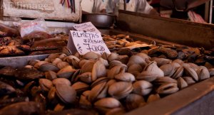 Fish market counter Santiago - shellfish
